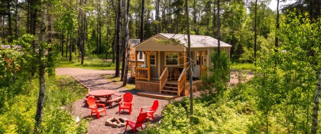 Cabin with covered porch and picnic table surrounded by tall trees in wooded setting